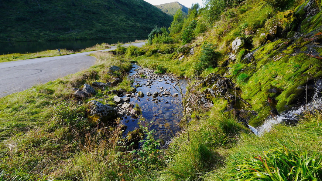 Funding: Here in the Osivaten hiking area, the dead man was found by a theme park.