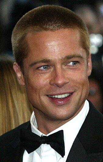 Occupation: Brad Pitt has a long career as an actor behind him.  Photo: Lionel Sironio