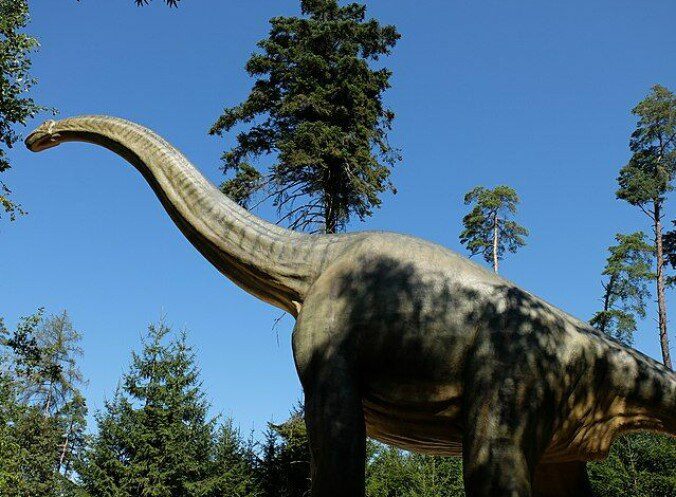 Plant eating: Brachiosaurus likely ate foliage high above the ground.  It weighed between 28 and 58 tons, according to Norsk Lexicon.  Photo: Wikimedia Commons