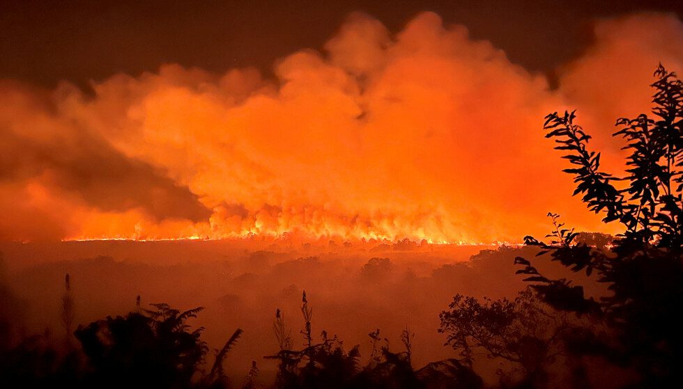 Forest fires: Large areas have been destroyed as a result of forest fires so far this year as in the whole of last year.  Here from a forest fire in northeastern France in July.  Photo: Reuters / NTB